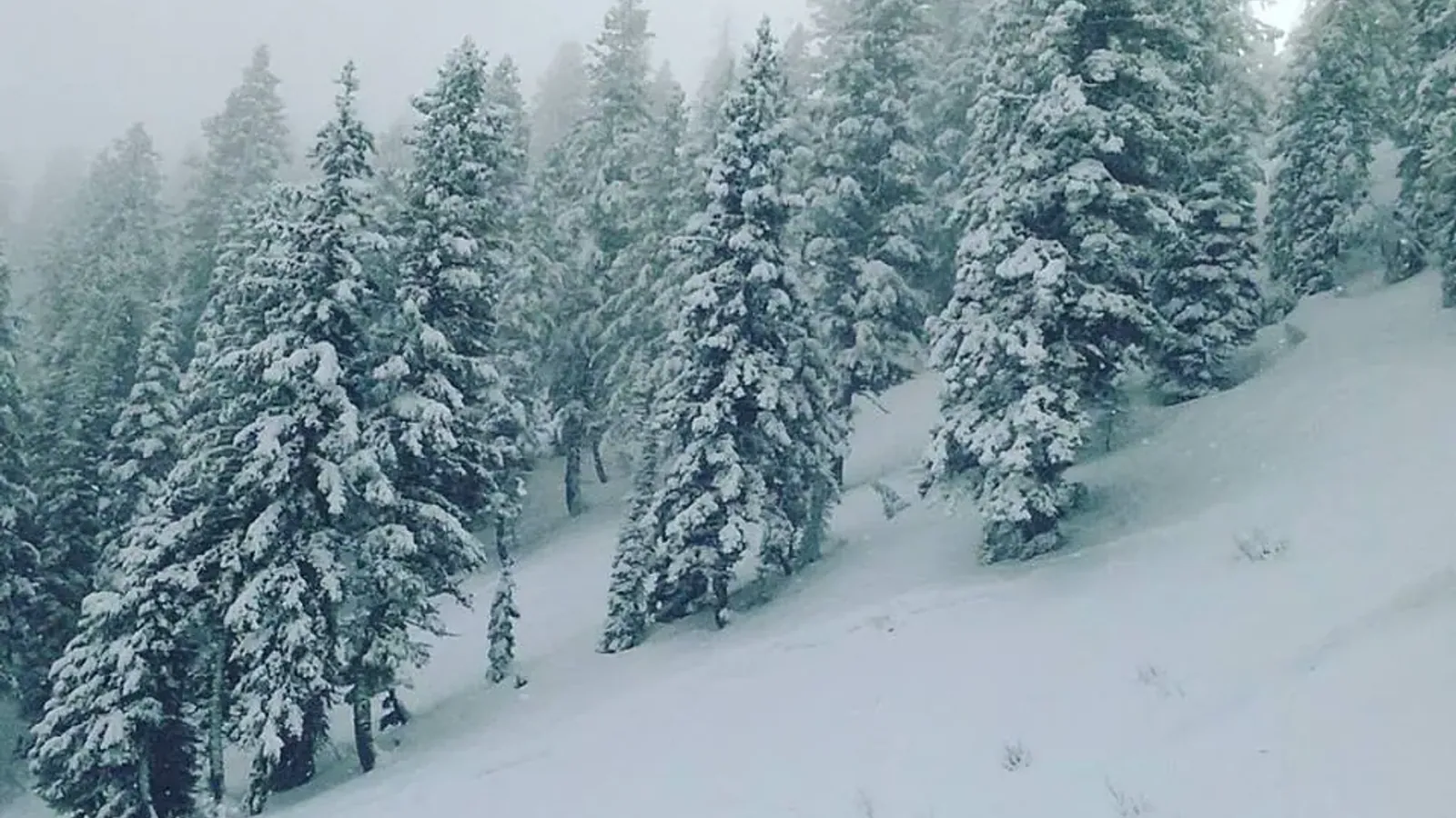 Deep winter snowpack on Pilot Peak in Idaho's Boise National Forest.