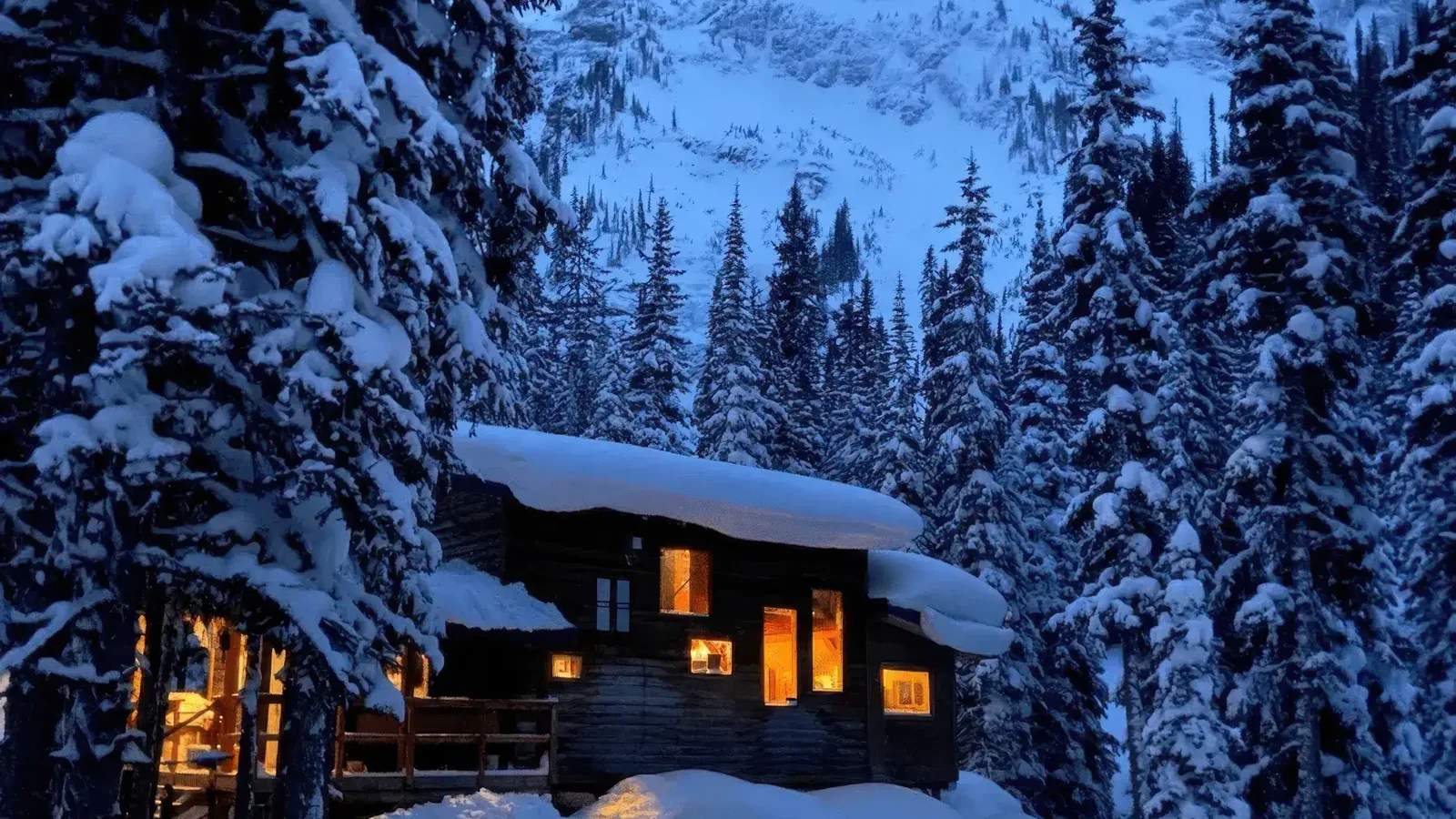 Ice Creek Lodge backcountry hut photo