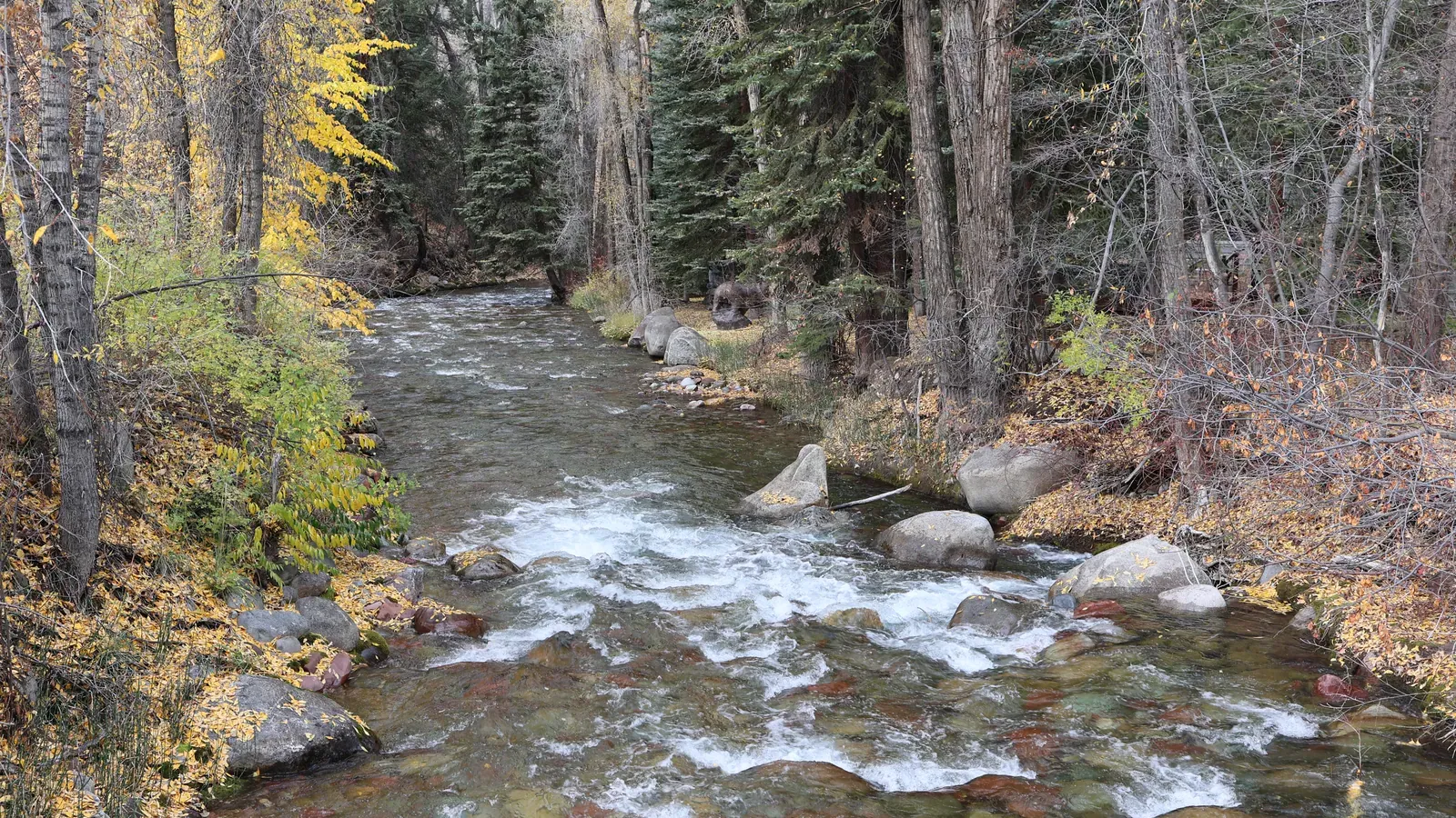 Castle Creek in Aspen, Colorado, looking downstream from a road bridge