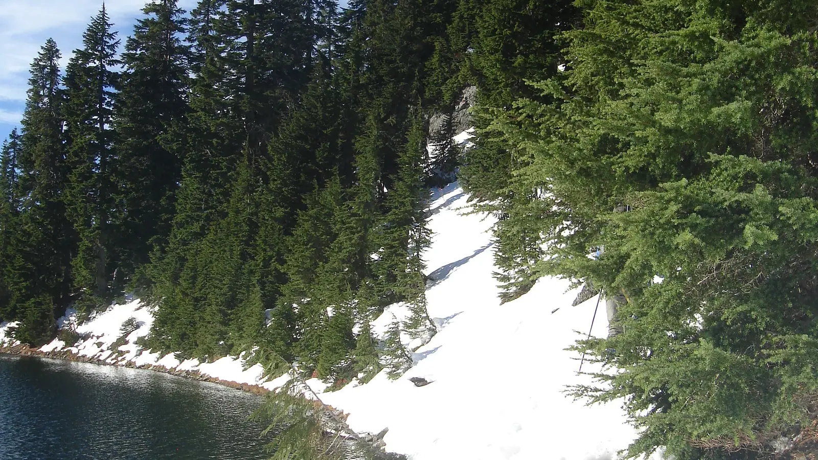 Snow covered trail along the shore of Mountain Lake, dark hemlock forest on the right and blue lake water on the left, on the approach to the BCMC hut
