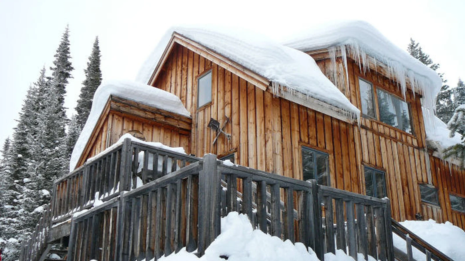Seipel Hut backcountry hut photo