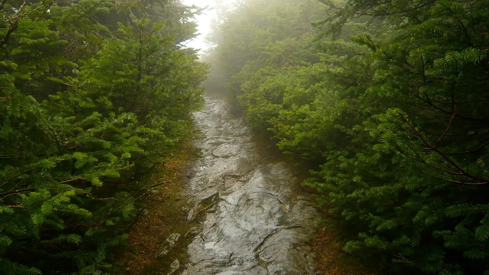 Long Trail on Mount Mansfield, Vermont, near Nebraska Notch